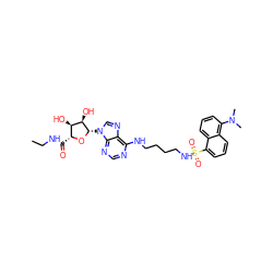 CCNC(=O)[C@H]1O[C@@H](n2cnc3c(NCCCCNS(=O)(=O)c4cccc5c(N(C)C)cccc45)ncnc32)[C@H](O)[C@@H]1O ZINC000049771759