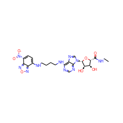 CCNC(=O)[C@H]1O[C@@H](n2cnc3c(NCCCCNc4ccc([N+](=O)[O-])c5nonc45)ncnc32)[C@H](O)[C@@H]1O ZINC000049771517