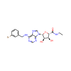 CCNC(=O)[C@H]1O[C@@H](n2cnc3c(NCc4cccc(Br)c4)ncnc32)[C@H](O)[C@@H]1O ZINC000012405575