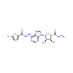 CCNC(=O)[C@H]1O[C@@H](n2cnc3c(NNC(=O)c4ccc(Br)o4)ncnc32)[C@H](O)[C@@H]1O ZINC000029051152