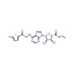 CCNC(=O)[C@H]1O[C@@H](n2cnc3c(NNC(=O)c4ccc(C)s4)ncnc32)[C@H](O)[C@@H]1O ZINC000029051019