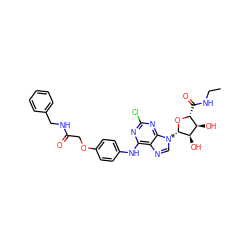 CCNC(=O)[C@H]1O[C@@H](n2cnc3c(Nc4ccc(OCC(=O)NCc5ccccc5)cc4)nc(Cl)nc32)[C@H](O)[C@@H]1O ZINC000028647860