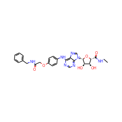 CCNC(=O)[C@H]1O[C@@H](n2cnc3c(Nc4ccc(OCC(=O)NCc5ccccc5)cc4)ncnc32)[C@H](O)[C@@H]1O ZINC000028647826