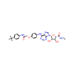 CCNC(=O)[C@H]1O[C@@H](n2cnc3c(Nc4ccc(OCC(=O)Nc5ccc(C(C)(C)C)cc5)cc4)ncnc32)[C@H](O)[C@@H]1O ZINC000028647816