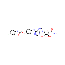 CCNC(=O)[C@H]1O[C@@H](n2cnc3c(Nc4ccc(OCC(=O)Nc5ccc(Cl)cc5)cc4)ncnc32)[C@H](O)[C@@H]1O ZINC000028647791