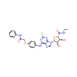 CCNC(=O)[C@H]1O[C@@H](n2cnc3c(Nc4ccc(OCC(=O)Nc5ccccc5)cc4)nc(Cl)nc32)[C@H](O)[C@@H]1O ZINC000028647833