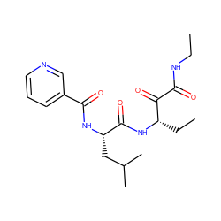 CCNC(=O)C(=O)[C@H](CC)NC(=O)[C@H](CC(C)C)NC(=O)c1cccnc1 ZINC000013759590