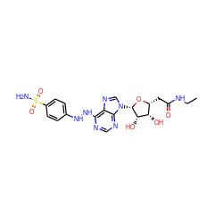 CCNC(=O)C[C@H]1O[C@@H](n2cnc3c(NNc4ccc(S(N)(=O)=O)cc4)ncnc32)[C@@H](O)[C@H]1O ZINC000034800603