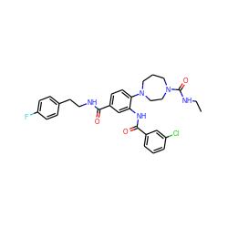 CCNC(=O)N1CCCN(c2ccc(C(=O)NCCc3ccc(F)cc3)cc2NC(=O)c2cccc(Cl)c2)CC1 ZINC000028563096