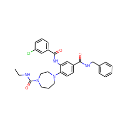 CCNC(=O)N1CCCN(c2ccc(C(=O)NCc3ccccc3)cc2NC(=O)c2cccc(Cl)c2)CC1 ZINC000028566212