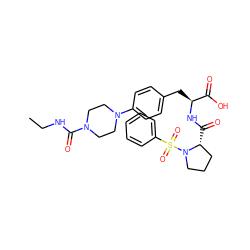 CCNC(=O)N1CCN(c2ccc(C[C@H](NC(=O)[C@@H]3CCCN3S(=O)(=O)c3ccccc3)C(=O)O)cc2)CC1 ZINC000028978736