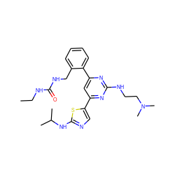 CCNC(=O)NCc1ccccc1-c1cc(-c2cnc(NC(C)C)s2)nc(NCCN(C)C)n1 ZINC000058650329