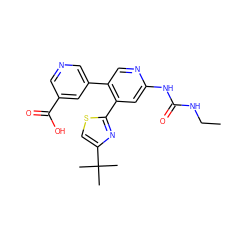 CCNC(=O)Nc1cc(-c2nc(C(C)(C)C)cs2)c(-c2cncc(C(=O)O)c2)cn1 ZINC000141493021