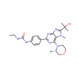 CCNC(=O)Nc1ccc(-c2nc(N3CCOC[C@@H]3C)c3c(n2)nc(C(C)(C)O)n3C)cc1 ZINC000096283263