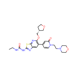 CCNC(=O)Nc1nc2cc(-c3ccn(CCN4CCOCC4)c(=O)c3)c(OC[C@@H]3CCOC3)nc2s1 ZINC000169340161