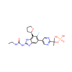 CCNC(=O)Nc1nc2cc(-c3cnc(C(C)(C)OP(=O)(O)O)nc3)c(F)c([C@H]3CCCO3)c2[nH]1 ZINC000095566061