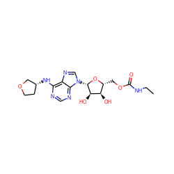 CCNC(=O)OC[C@H]1O[C@@H](n2cnc3c(N[C@@H]4CCOC4)ncnc32)[C@H](O)[C@@H]1O ZINC000013589076