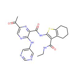 CCNC(=O)c1c(NC(=O)c2nc(C(C)=O)cnc2Nc2cncnc2)sc2c1CCCC2 ZINC000169701808