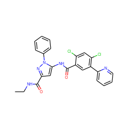 CCNC(=O)c1cc(NC(=O)c2cc(-c3ccccn3)c(Cl)cc2Cl)n(-c2ccccc2)n1 ZINC001772632626