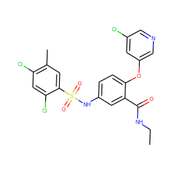 CCNC(=O)c1cc(NS(=O)(=O)c2cc(C)c(Cl)cc2Cl)ccc1Oc1cncc(Cl)c1 ZINC000095588989