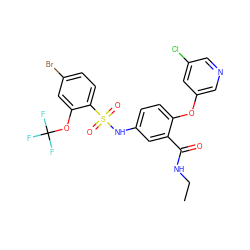 CCNC(=O)c1cc(NS(=O)(=O)c2ccc(Br)cc2OC(F)(F)F)ccc1Oc1cncc(Cl)c1 ZINC000095589292