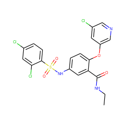 CCNC(=O)c1cc(NS(=O)(=O)c2ccc(Cl)cc2Cl)ccc1Oc1cncc(Cl)c1 ZINC000095591072