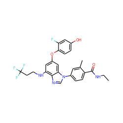 CCNC(=O)c1ccc(-n2cnc3c(NCCC(F)(F)F)cc(Oc4ccc(O)cc4F)cc32)cc1C ZINC000203531059