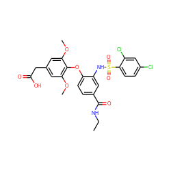 CCNC(=O)c1ccc(Oc2c(OC)cc(CC(=O)O)cc2OC)c(NS(=O)(=O)c2ccc(Cl)cc2Cl)c1 ZINC000049694619