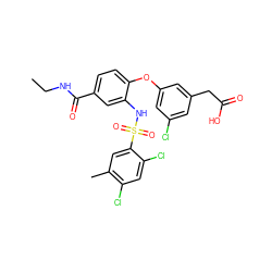 CCNC(=O)c1ccc(Oc2cc(Cl)cc(CC(=O)O)c2)c(NS(=O)(=O)c2cc(C)c(Cl)cc2Cl)c1 ZINC000049679642