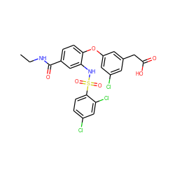 CCNC(=O)c1ccc(Oc2cc(Cl)cc(CC(=O)O)c2)c(NS(=O)(=O)c2ccc(Cl)cc2Cl)c1 ZINC000049679950