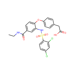 CCNC(=O)c1ccc(Oc2ccc(CC(=O)O)cc2)c(NS(=O)(=O)c2ccc(Cl)cc2Cl)c1 ZINC000049722867