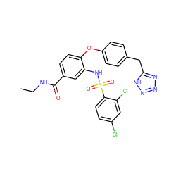 CCNC(=O)c1ccc(Oc2ccc(Cc3nnn[nH]3)cc2)c(NS(=O)(=O)c2ccc(Cl)cc2Cl)c1 ZINC000049694811