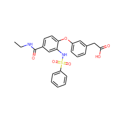 CCNC(=O)c1ccc(Oc2cccc(CC(=O)O)c2)c(NS(=O)(=O)c2ccccc2)c1 ZINC000045255968