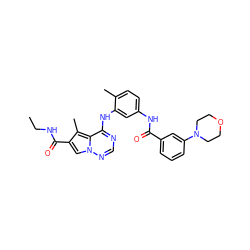 CCNC(=O)c1cn2ncnc(Nc3cc(NC(=O)c4cccc(N5CCOCC5)c4)ccc3C)c2c1C ZINC000013983253