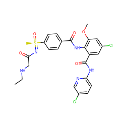 CCNCC(=O)N=[S@](C)(=O)c1ccc(C(=O)Nc2c(OC)cc(Cl)cc2C(=O)Nc2ccc(Cl)cn2)cc1 ZINC000095574138