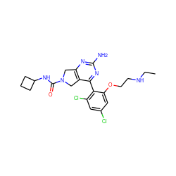 CCNCCOc1cc(Cl)cc(Cl)c1-c1nc(N)nc2c1CN(C(=O)NC1CCC1)C2 ZINC000071318296