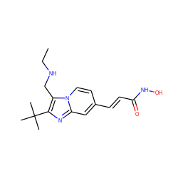 CCNCc1c(C(C)(C)C)nc2cc(/C=C/C(=O)NO)ccn12 ZINC000143204648