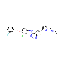 CCNCc1ccc(-c2cc3c(Nc4ccc(OCc5cccc(F)c5)c(Cl)c4)ncnc3s2)[nH]1 ZINC000040933095