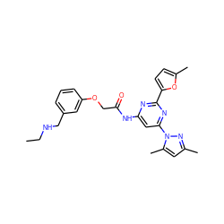 CCNCc1cccc(OCC(=O)Nc2cc(-n3nc(C)cc3C)nc(-c3ccc(C)o3)n2)c1 ZINC000029041666