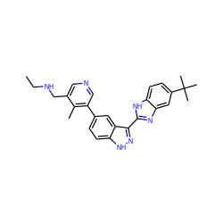 CCNCc1cncc(-c2ccc3[nH]nc(-c4nc5cc(C(C)(C)C)ccc5[nH]4)c3c2)c1C ZINC000072177799