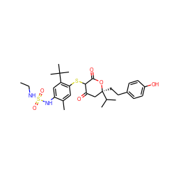 CCNS(=O)(=O)Nc1cc(C(C)(C)C)c(SC2C(=O)C[C@](CCc3ccc(O)cc3)(C(C)C)OC2=O)cc1C ZINC000027994442