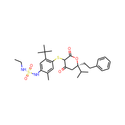 CCNS(=O)(=O)Nc1cc(C(C)(C)C)c(SC2C(=O)C[C@](CCc3ccccc3)(C(C)C)OC2=O)cc1C ZINC000027980569