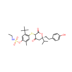 CCNS(=O)(=O)Oc1cc(C(C)(C)C)c(SC2C(=O)C[C@](CCc3ccc(O)cc3)(C(C)C)OC2=O)cc1C ZINC000026285111