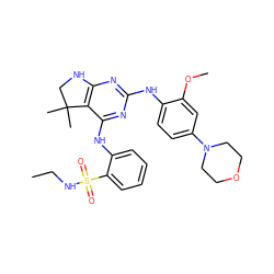 CCNS(=O)(=O)c1ccccc1Nc1nc(Nc2ccc(N3CCOCC3)cc2OC)nc2c1C(C)(C)CN2 ZINC000221705424