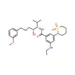 CCNc1cc(C(=O)N[C@@H](C(C)C)[C@H](O)CNCc2cccc(OC)c2)cc(N2CCCCS2(=O)=O)c1 ZINC000029039626