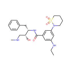 CCNc1cc(C(=O)N[C@@H](Cc2ccccc2)[C@H](O)CNC)cc(N2CCCCS2(=O)=O)c1 ZINC000040953514