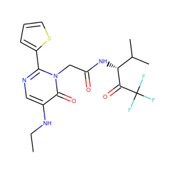 CCNc1cnc(-c2cccs2)n(CC(=O)N[C@@H](C(=O)C(F)(F)F)C(C)C)c1=O ZINC000001535349