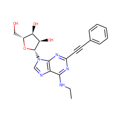 CCNc1nc(C#Cc2ccccc2)nc2c1ncn2[C@@H]1O[C@H](CO)[C@@H](O)[C@H]1O ZINC000013475053