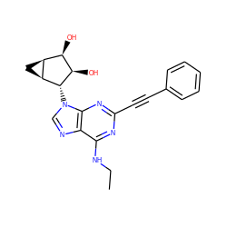 CCNc1nc(C#Cc2ccccc2)nc2c1ncn2[C@H]1[C@H](O)[C@H](O)[C@@H]2C[C@@H]21 ZINC000084687657