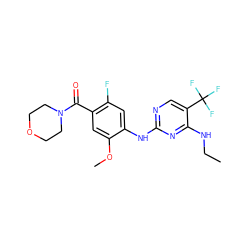 CCNc1nc(Nc2cc(F)c(C(=O)N3CCOCC3)cc2OC)ncc1C(F)(F)F ZINC000095578650